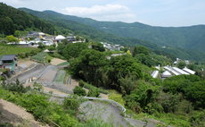 Farmstay w/ The Nakajimas