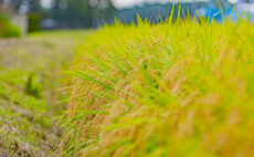 "Kitekuneya" Farm Stay