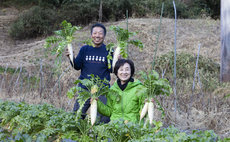 140-Year-Old Traditional House with Rich Experiences