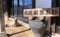 "Satogoro" Guesthouse w/ Friendly Goat