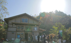 sai-hara- ife