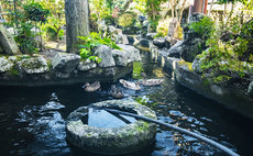 Wifi Avail. Temple Stay in "Kishinobo"