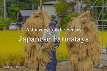 A Journey for the Senses:Immerse Yourself in a Japanese"Farm Stay"