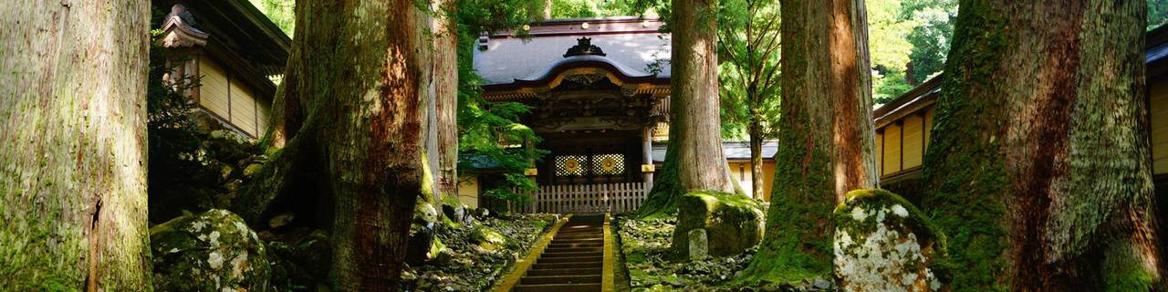 Fukui