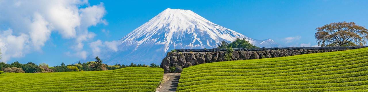 Shizuoka